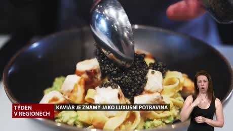Týden v regionech
